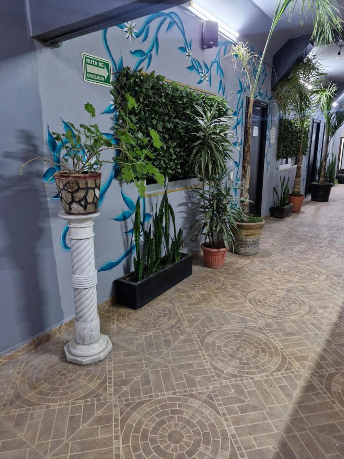 Mictlan México DF